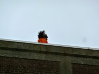 I lost my rhythm at an angle